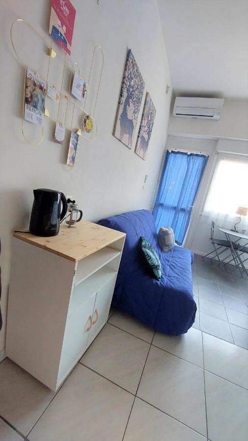 Chez Leslie Et Vincent : Logements Climatises Avec Parking Privatif Perpignan Luaran gambar